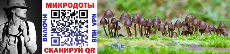 это официальный сайт  Россошь  Псилоцибиновые грибы Cubensis 