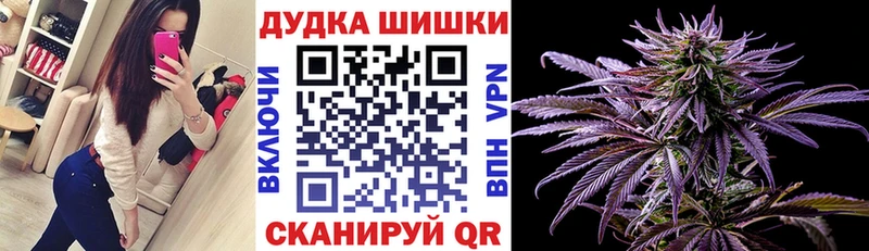 где купить наркоту  Россошь  мориарти как зайти  Марихуана индика 